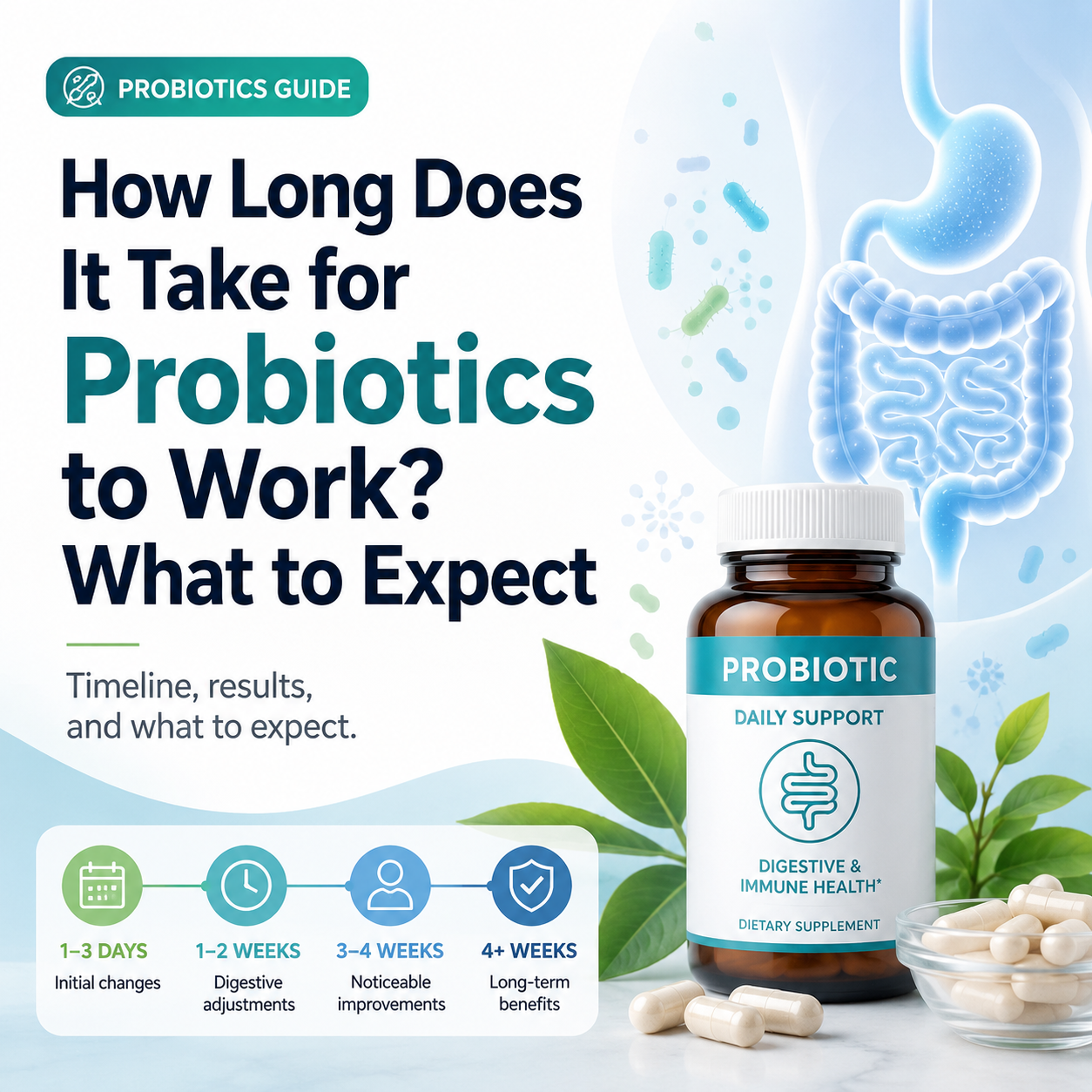 How Long Does It Take for Probiotics to Work? What to Expect